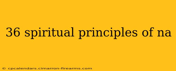 36 spiritual principles of na