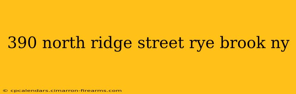 390 north ridge street rye brook ny