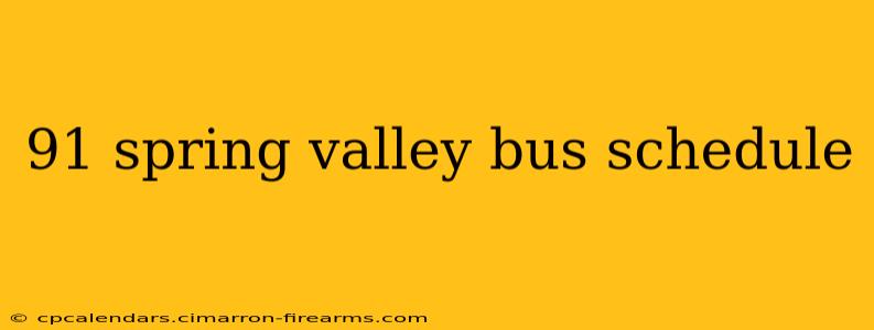 91 spring valley bus schedule