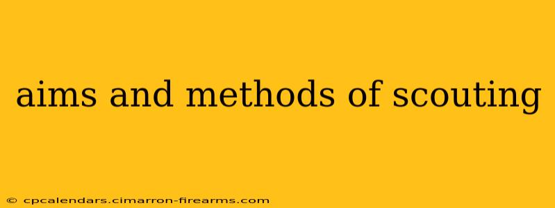 aims and methods of scouting