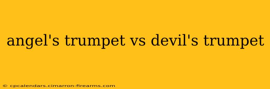 angel's trumpet vs devil's trumpet