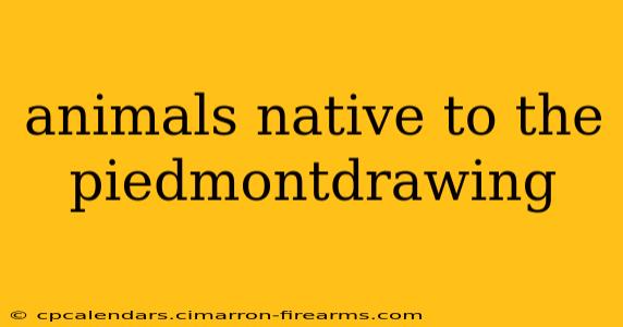 animals native to the piedmontdrawing