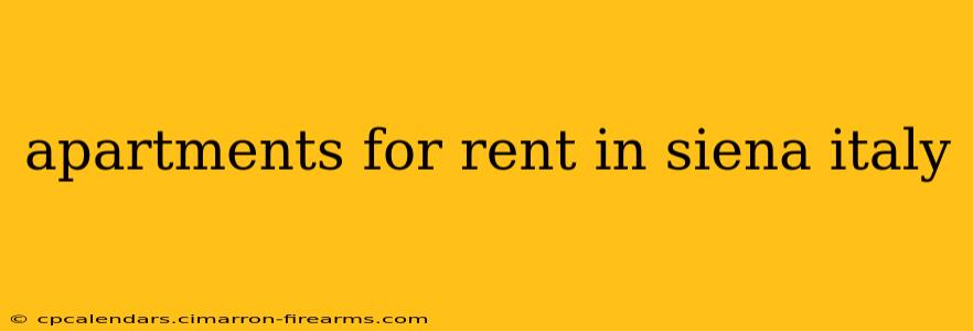 apartments for rent in siena italy