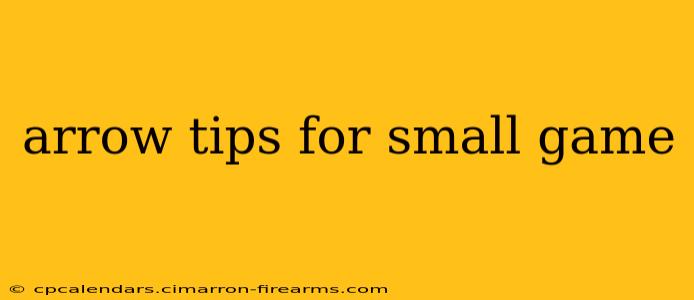 arrow tips for small game