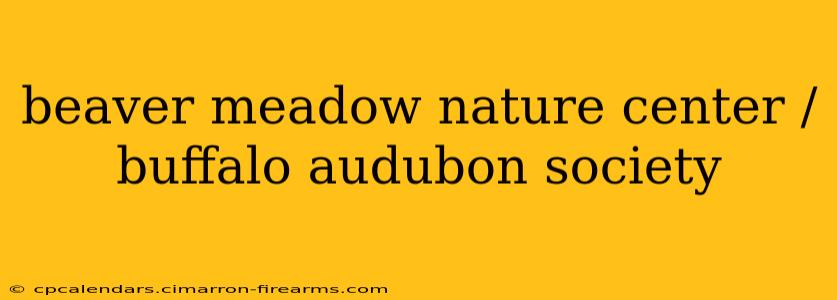 beaver meadow nature center / buffalo audubon society