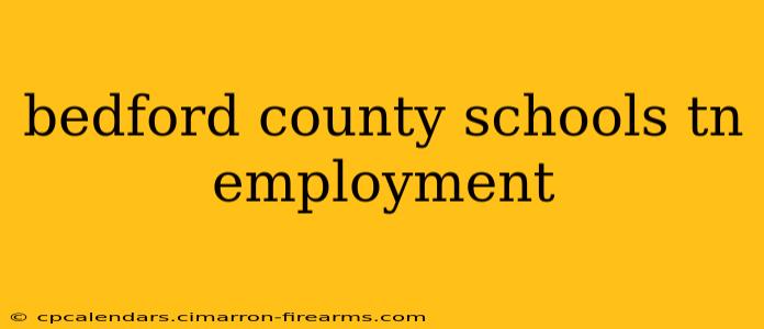 bedford county schools tn employment