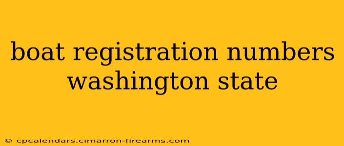 boat registration numbers washington state