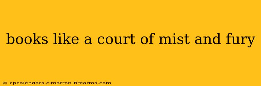 books like a court of mist and fury