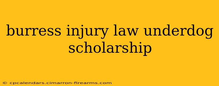 burress injury law underdog scholarship