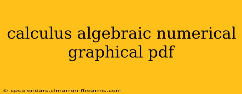 calculus algebraic numerical graphical pdf