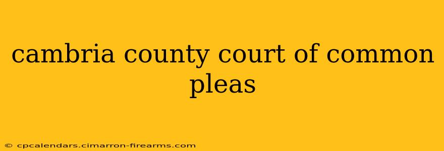 cambria county court of common pleas