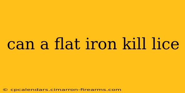 can a flat iron kill lice