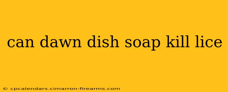 can dawn dish soap kill lice