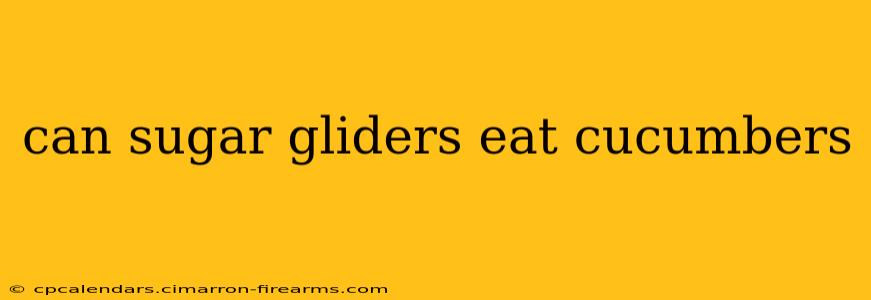 can sugar gliders eat cucumbers