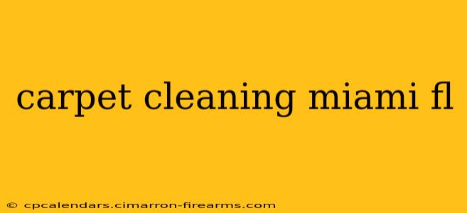 carpet cleaning miami fl