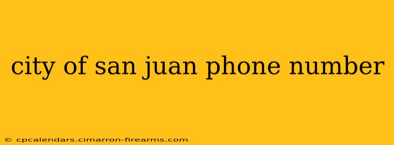 city of san juan phone number