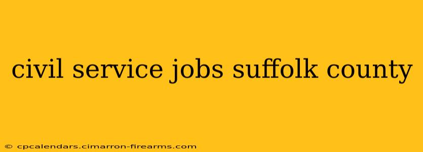 civil service jobs suffolk county