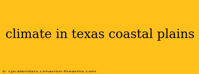 climate in texas coastal plains