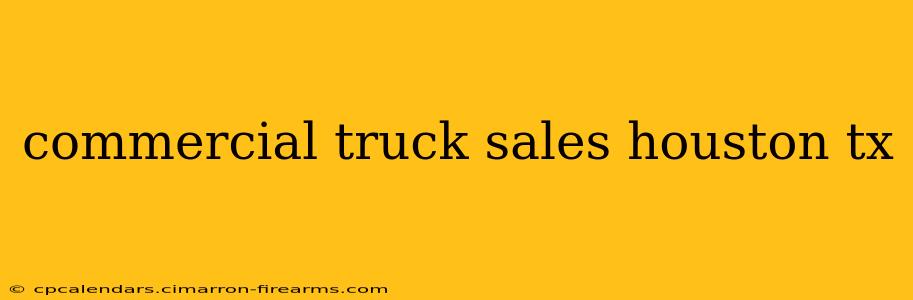 commercial truck sales houston tx