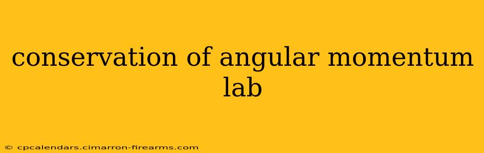 conservation of angular momentum lab