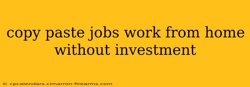 copy paste jobs work from home without investment