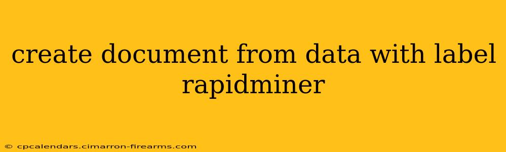 create document from data with label rapidminer