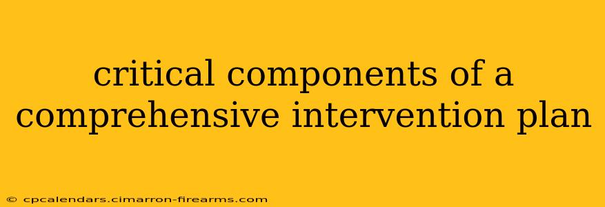 critical components of a comprehensive intervention plan