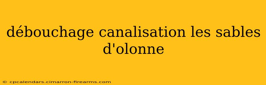 débouchage canalisation les sables d'olonne