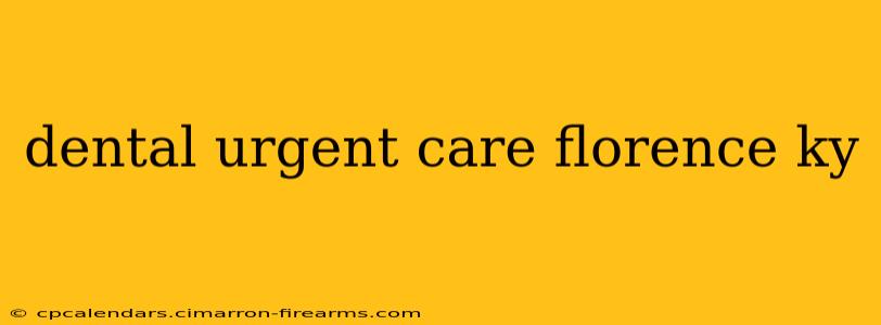 dental urgent care florence ky