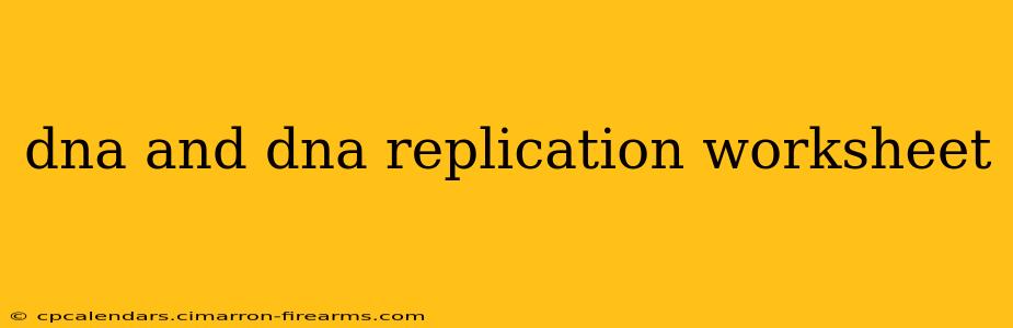 dna and dna replication worksheet