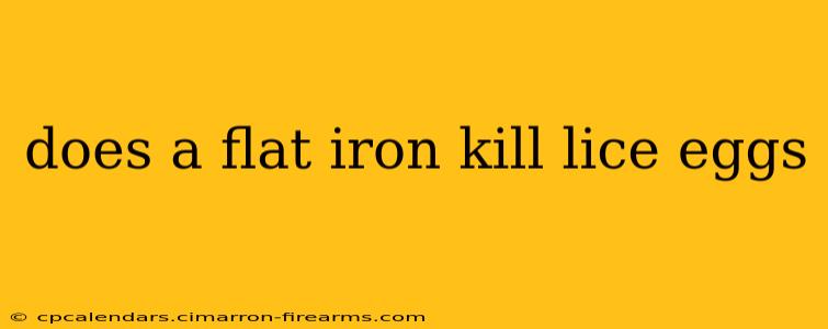 does a flat iron kill lice eggs