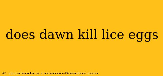 does dawn kill lice eggs