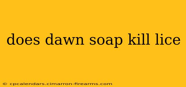 does dawn soap kill lice