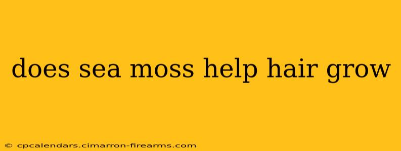 does sea moss help hair grow