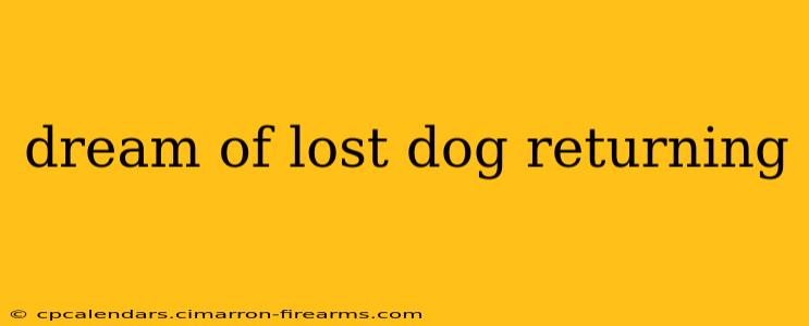 dream of lost dog returning