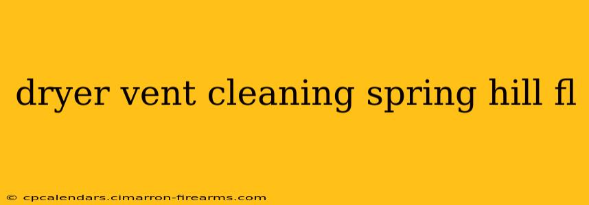 dryer vent cleaning spring hill fl