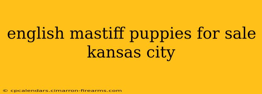 english mastiff puppies for sale kansas city