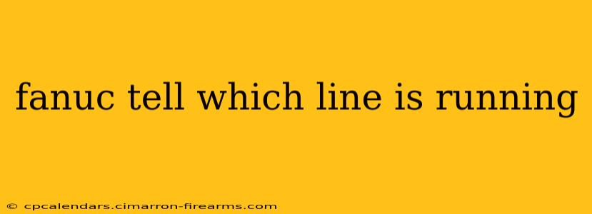 fanuc tell which line is running