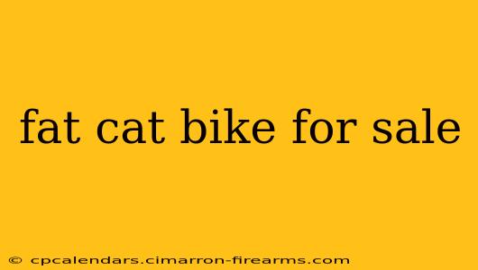 fat cat bike for sale