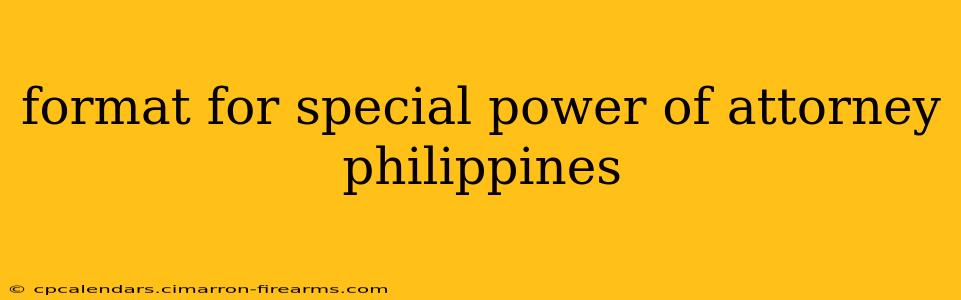 format for special power of attorney philippines