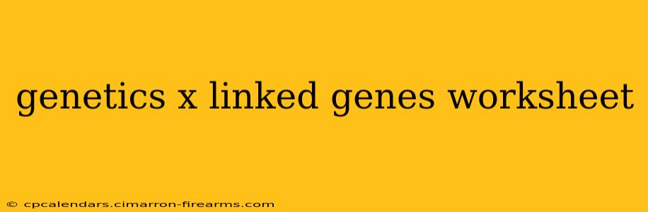 genetics x linked genes worksheet