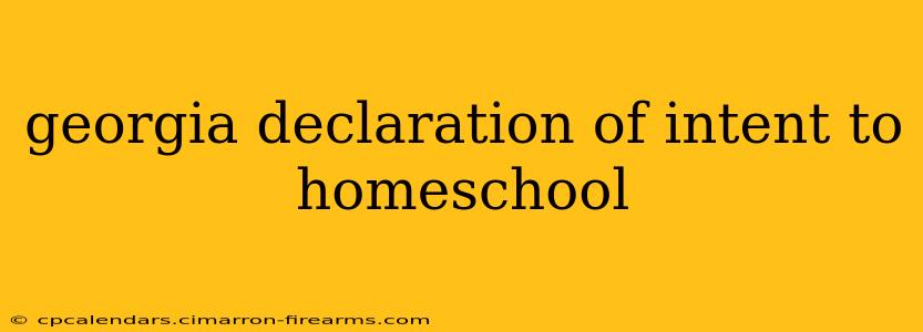 georgia declaration of intent to homeschool