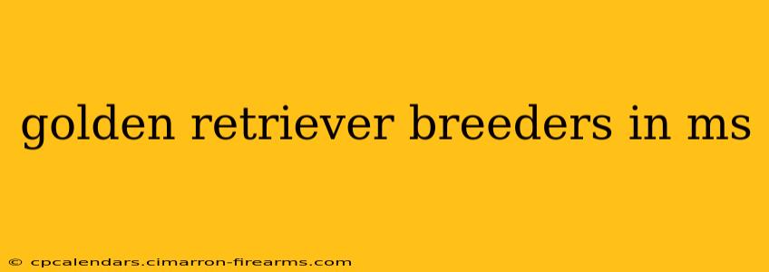 golden retriever breeders in ms