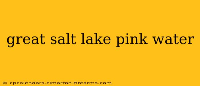 great salt lake pink water