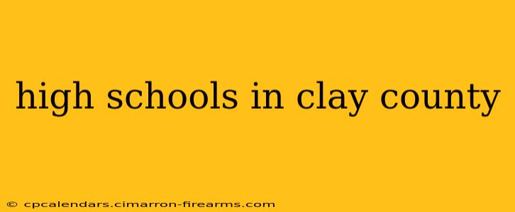 high schools in clay county