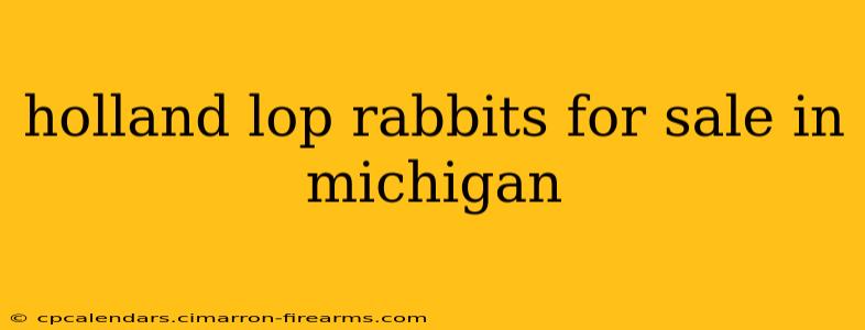 holland lop rabbits for sale in michigan