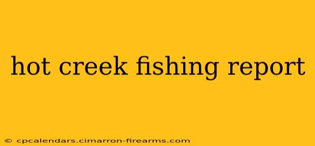 hot creek fishing report