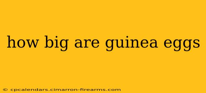 how big are guinea eggs