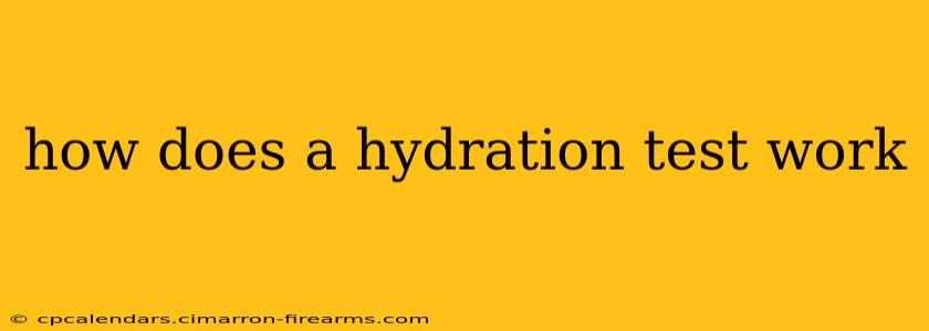 how does a hydration test work