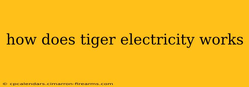 how does tiger electricity works